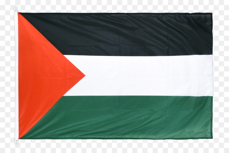 Estado De Palestina，Bandera PNG