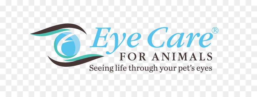 Cuidado De Los Ojos De Los Animales，Veterinario PNG