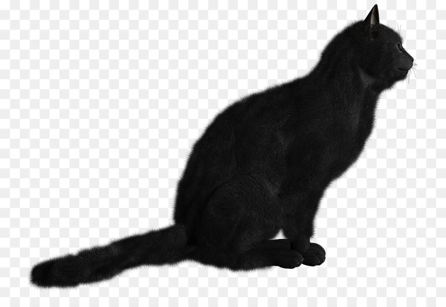 Gato Negro，Mascota PNG