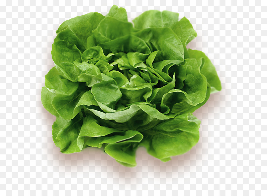 Lechuga，Vegetal PNG