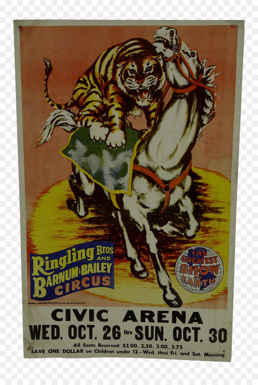 Cartel，Circo PNG