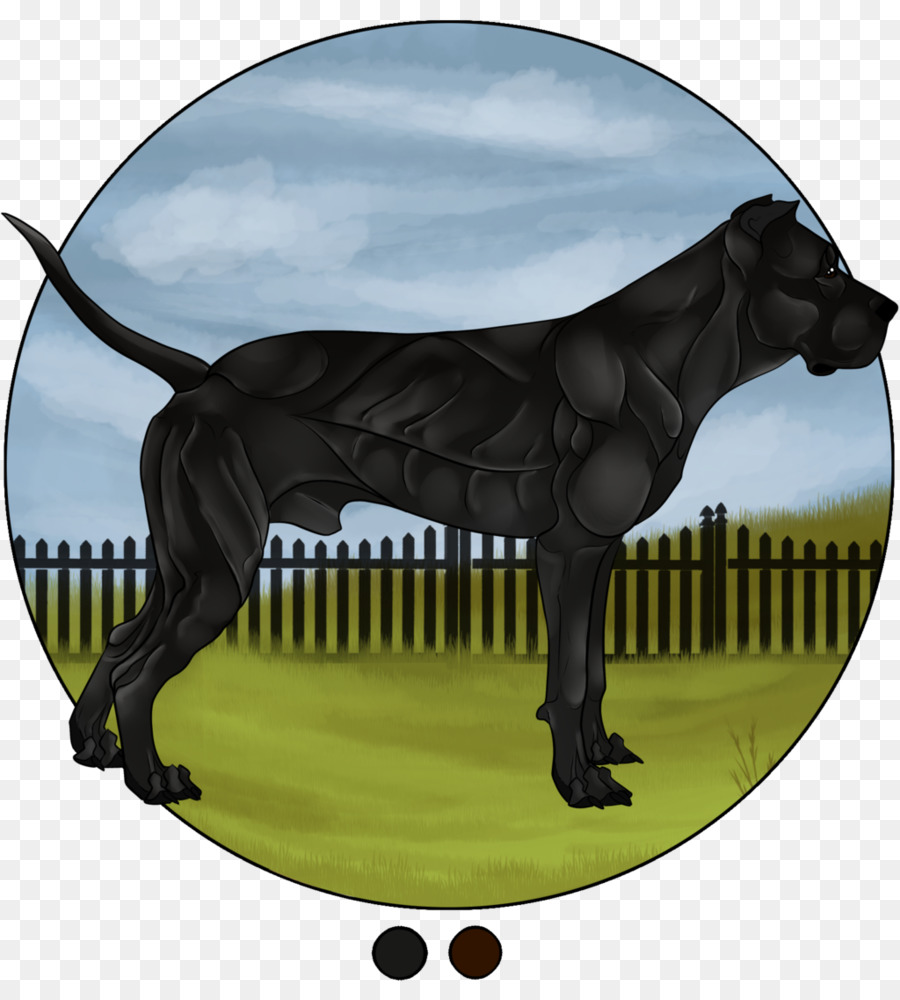 American Bully，Cane Corso PNG