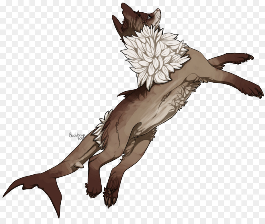 Canidae，Gato PNG