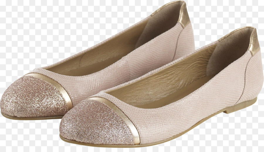 El Ballet Plana，Zapato PNG