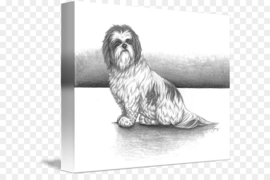 Pequeño Perro León，Shih Tzu PNG