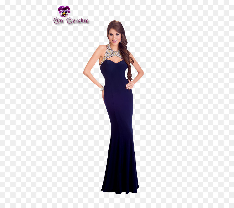 Mujer En Vestido Elegante，Mujer PNG