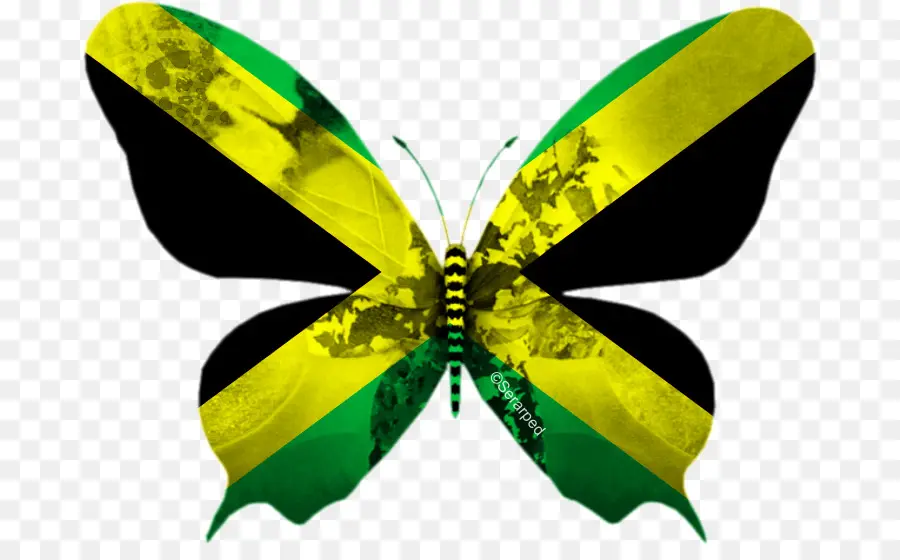 Bandera De Jamaica，Jamaica PNG