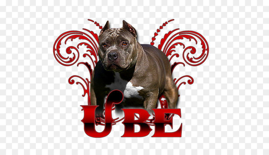 Raza De Perro，American Pit Bull Terrier PNG