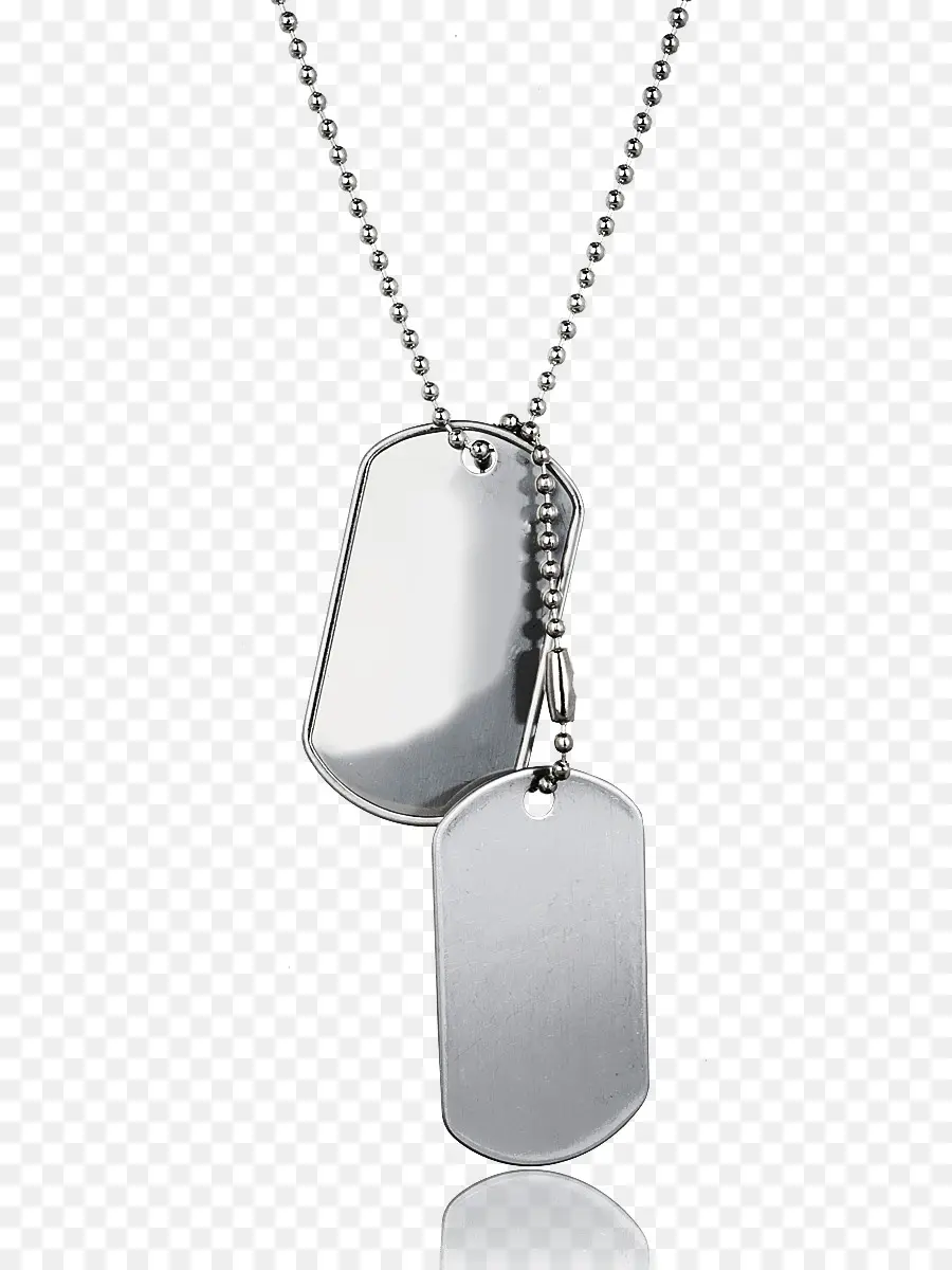 Medallón，Collar PNG