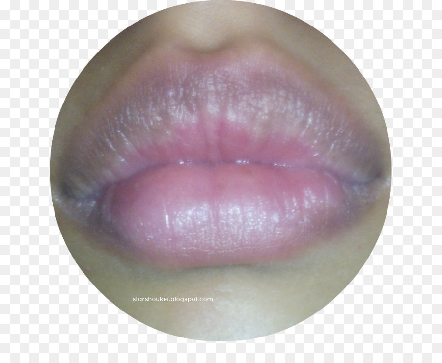 Labio，Brillo De Labios PNG