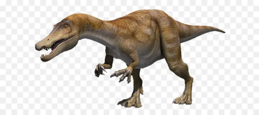 Barialx，Diplodocus PNG