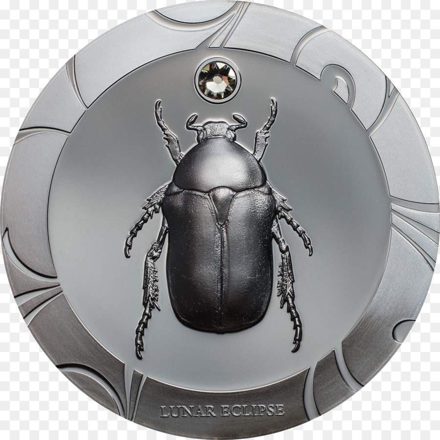 Moneda De Escarabajo，Insecto PNG