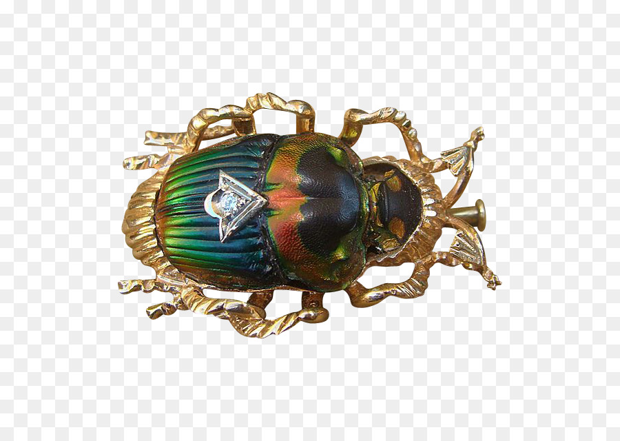 Los Insectos，Joyería PNG