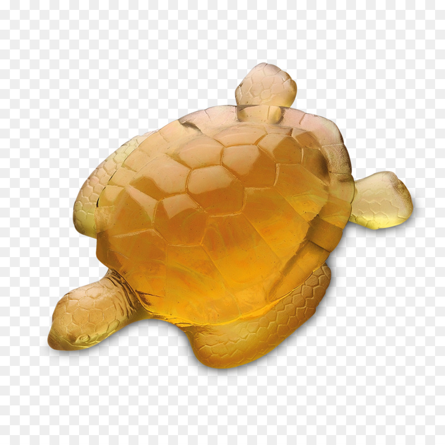 Tortuga，Estanque De Las Tortugas PNG