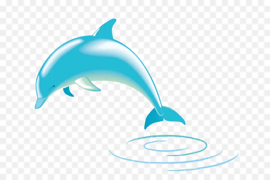 Spinner Dolphin，Común Delfín Nariz De Botella PNG