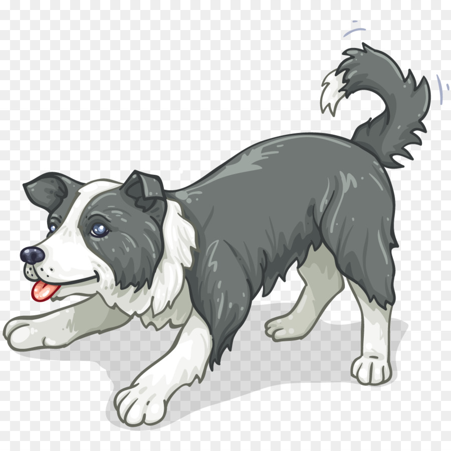 Border Collie，Gato PNG