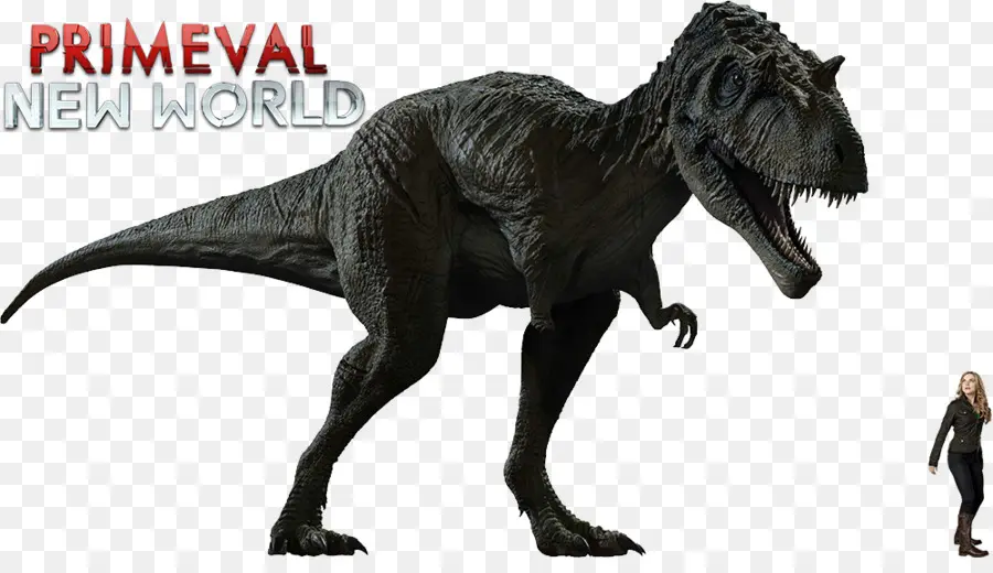 Tyrannosaurus，Albertosaurus PNG