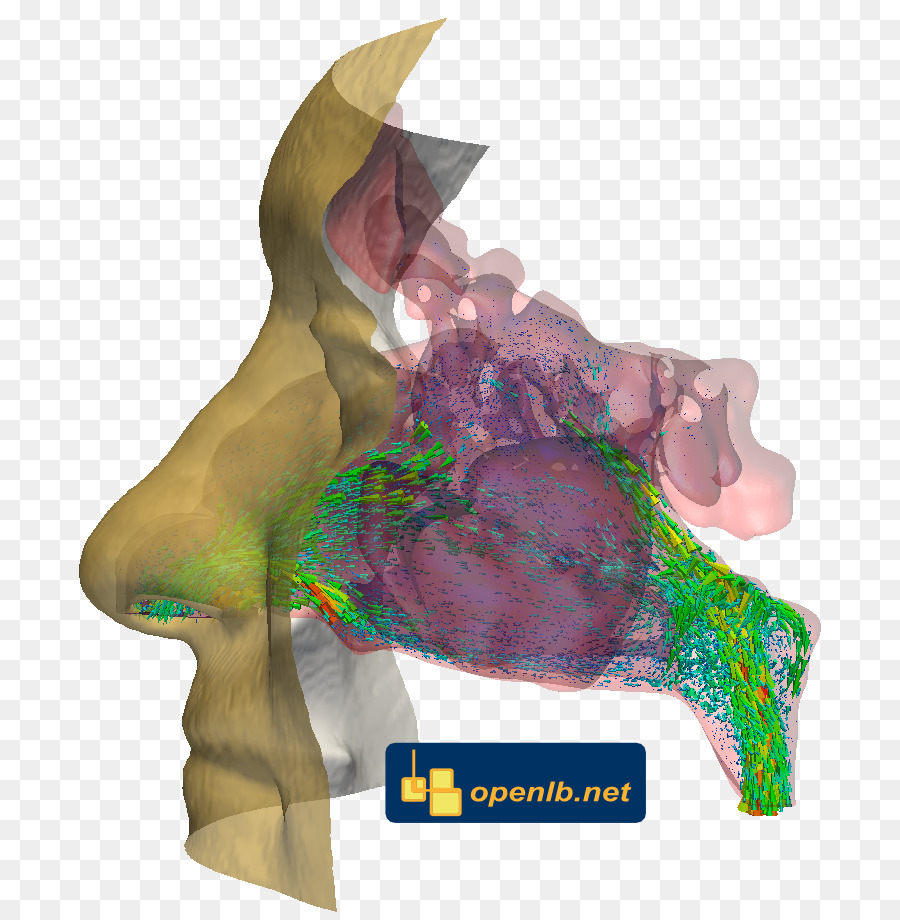 Openlb，Lattice Boltzmann Métodos PNG