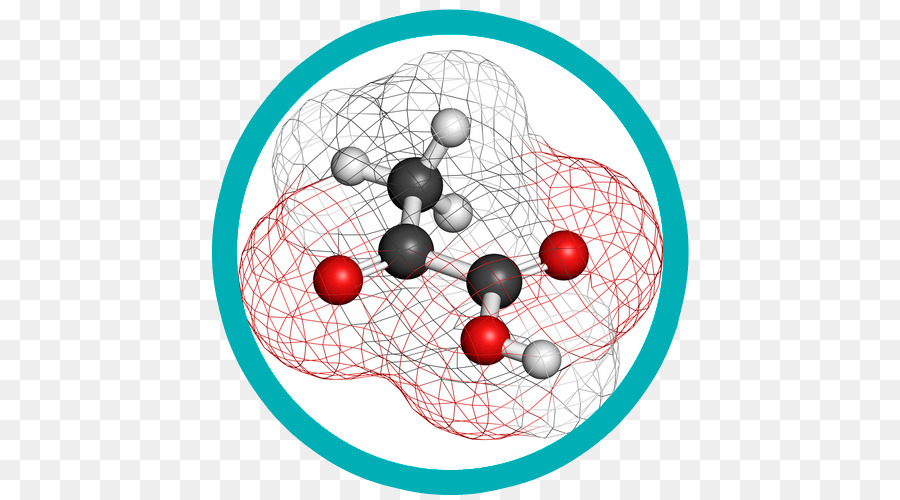El ácido Pirúvico，La Molécula De PNG