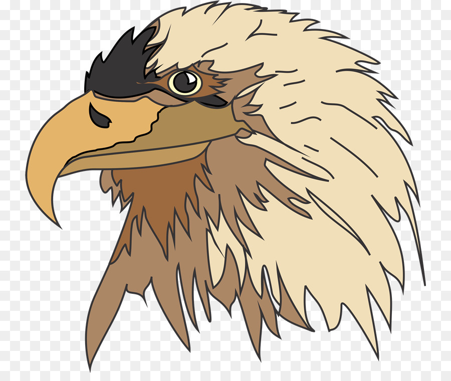 águila Calva，Las Criaturas Vivientes PNG