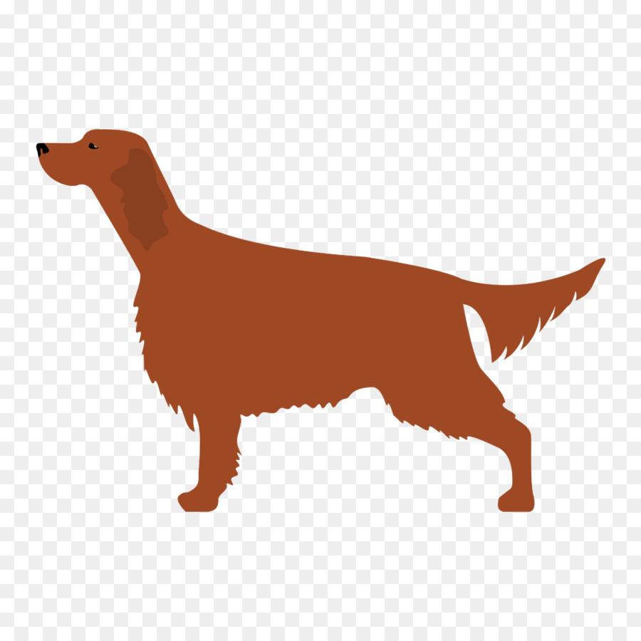 Kerry Blue Terrier，Bedlington Terrier PNG