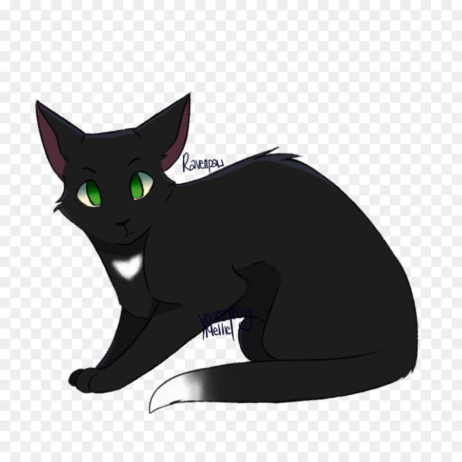 Gatito，Gato Negro PNG