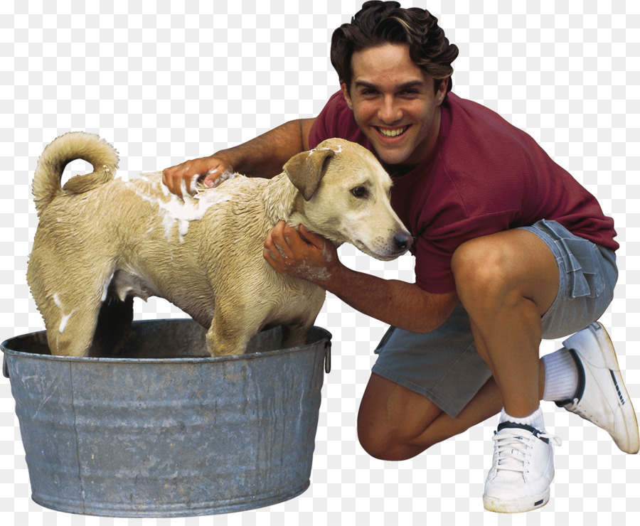 Raza De Perro，Perro PNG