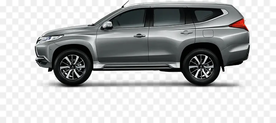 Mitsubishi Pajero，Mitsubishi PNG