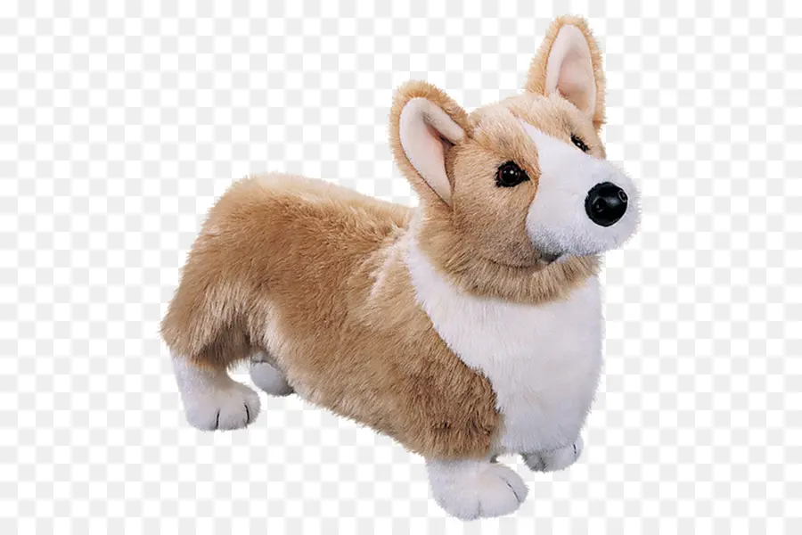 Corgi Galés De Pembroke，Corgi Galés De Cardigan PNG