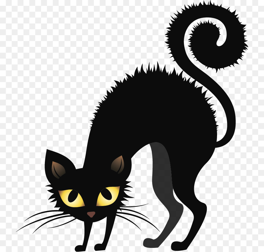 Gato Negro，Felino PNG