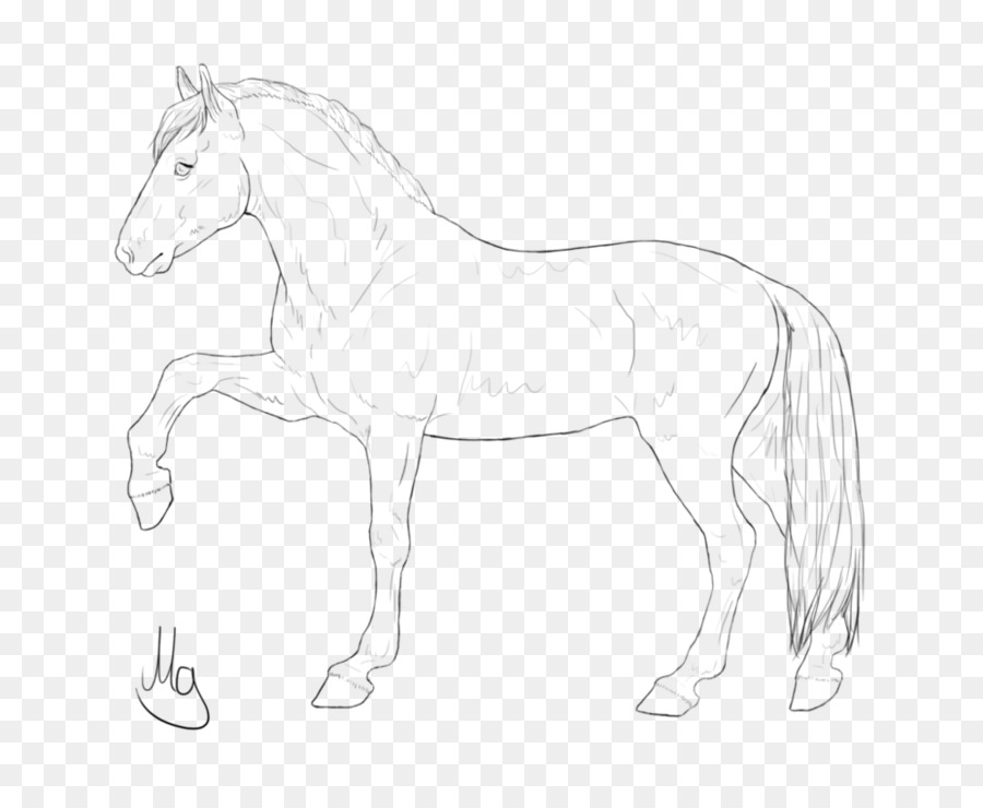 Caballo，Arte Lineal PNG