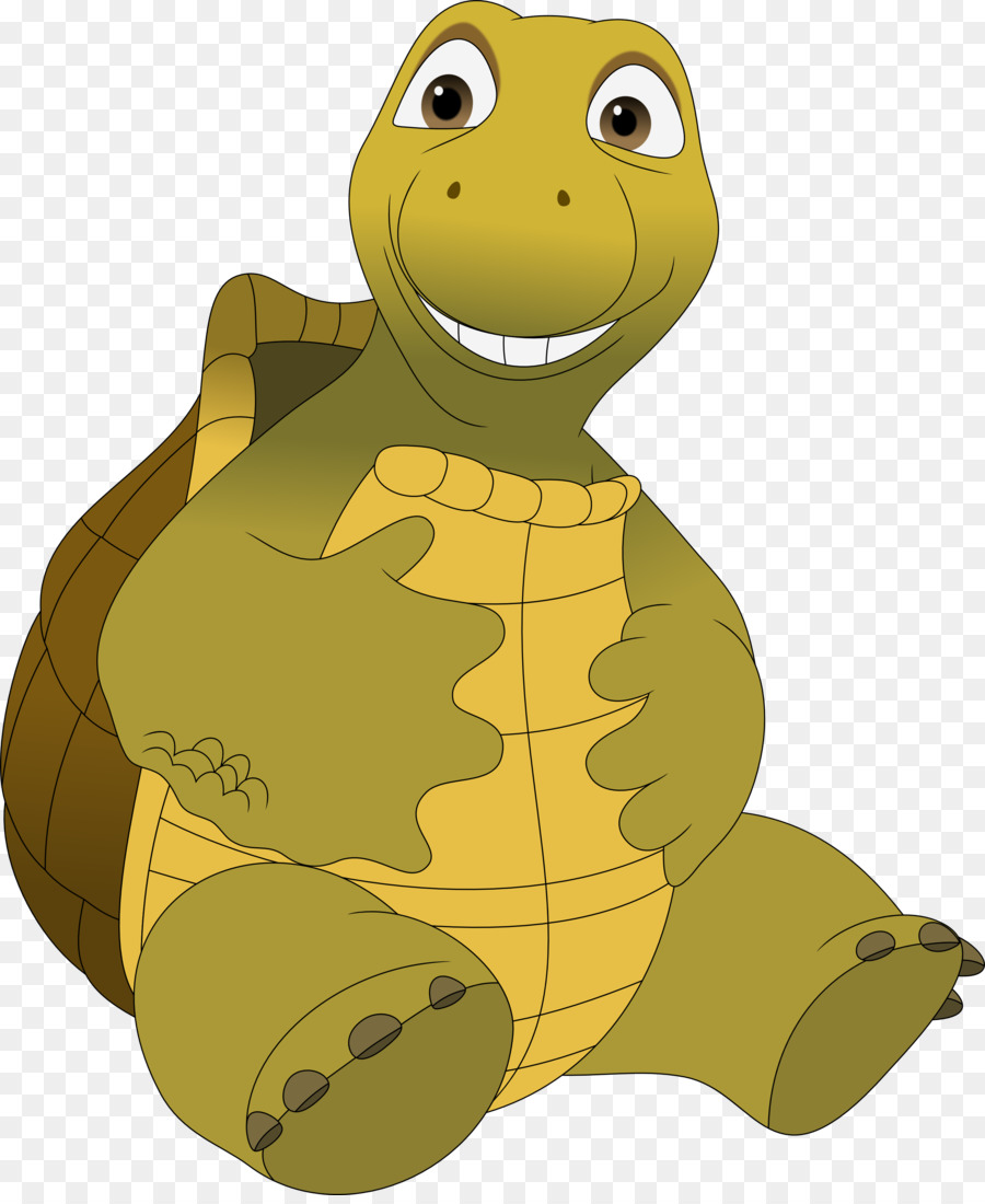 Tortuga，Animal PNG