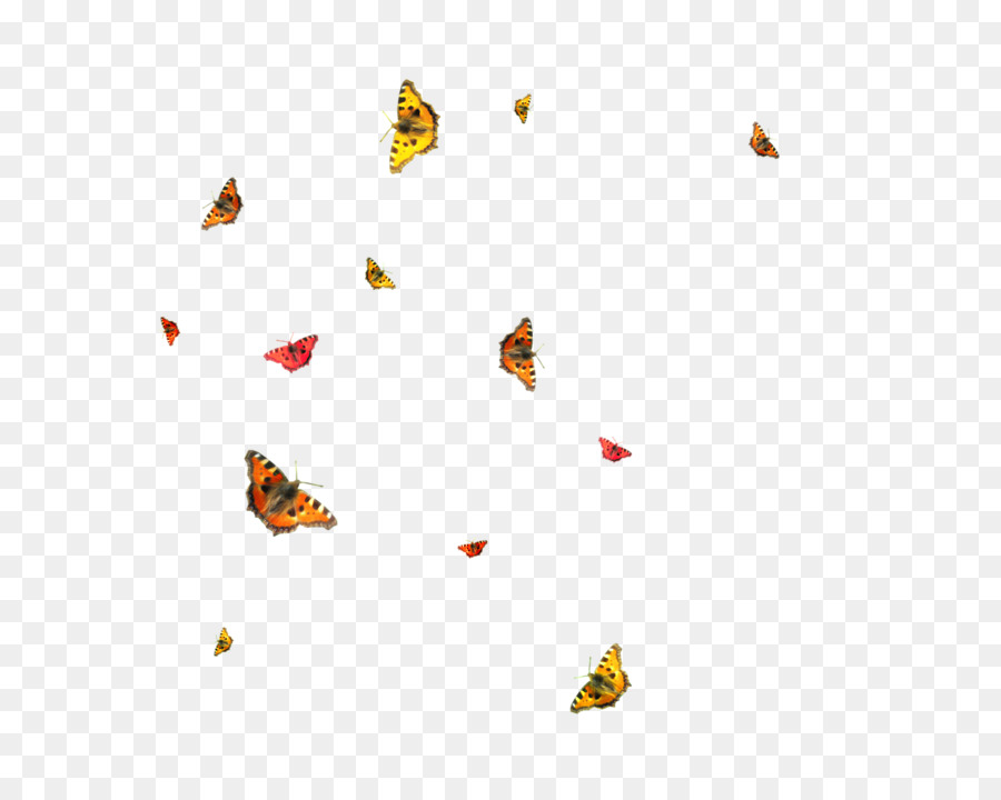 Mariposas，Vuelo PNG