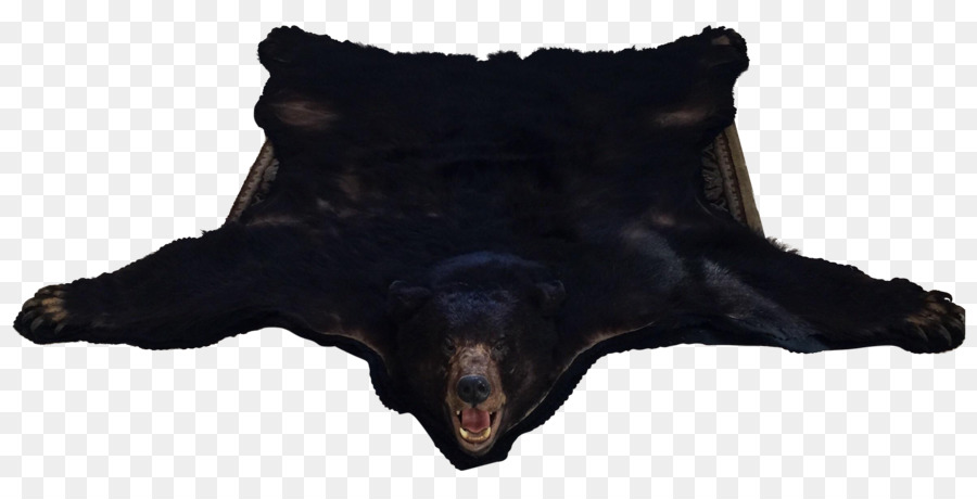 Alfombra De Oso，Animal PNG