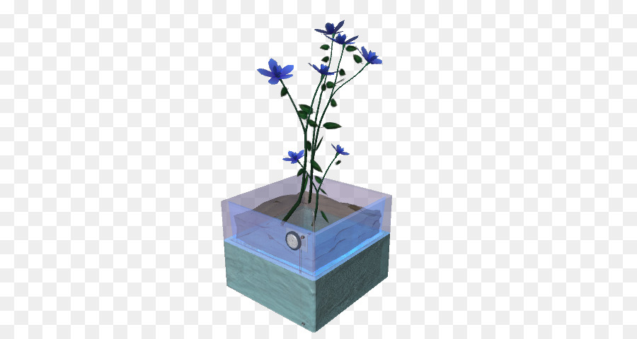 Azul Cobalto，Flor PNG