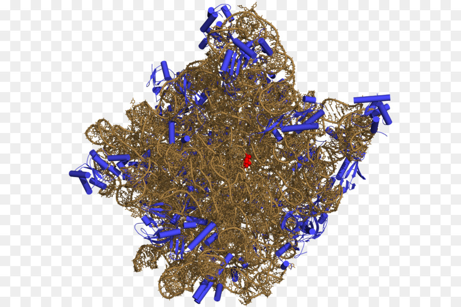 Estructura Molecular，Biología PNG