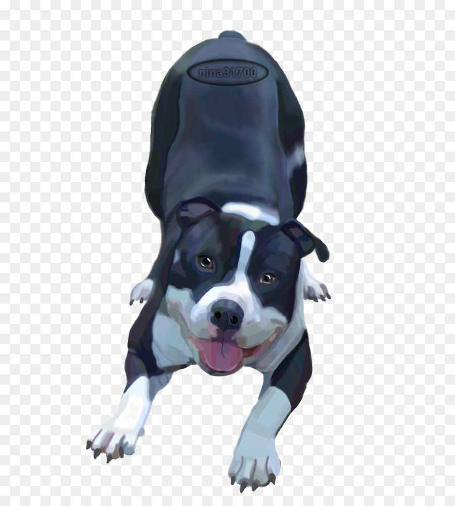 Boston Terrier，American Pit Bull Terrier PNG