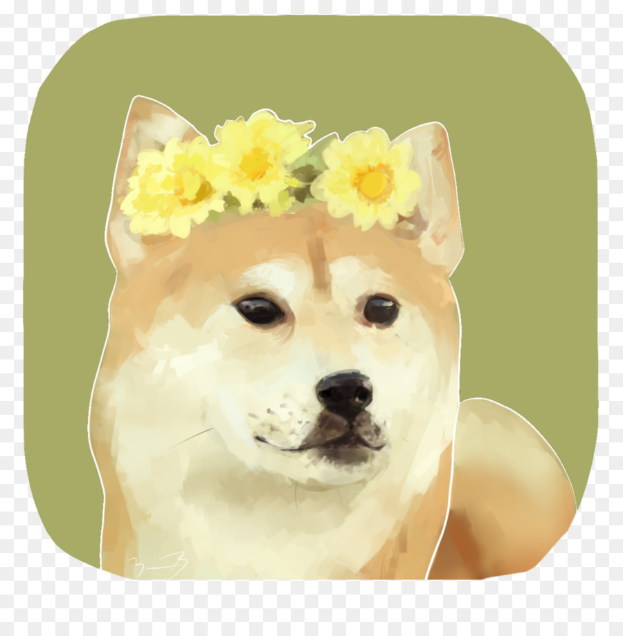 Shiba Inu，Dibujo PNG