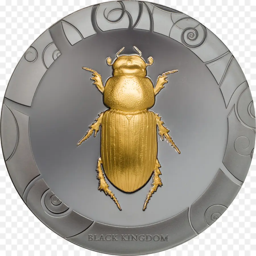 Escarabajo，Moneda PNG