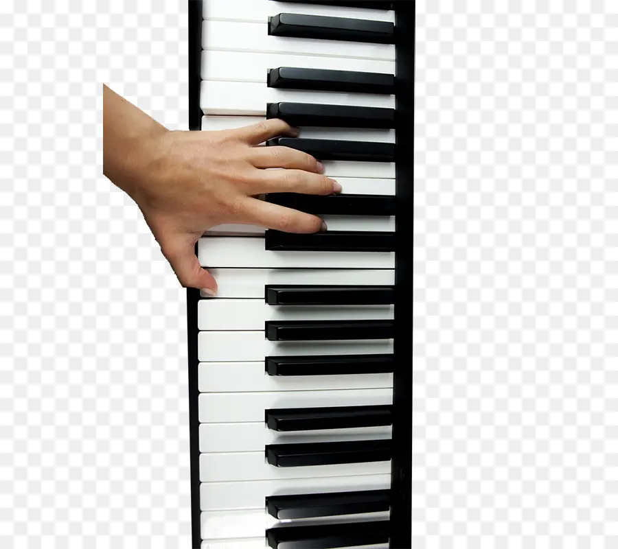 Piano Digital，Piano Eléctrico PNG