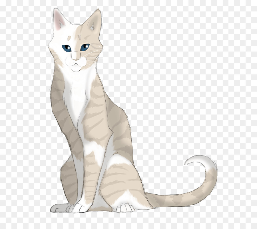 Bigotes，Gatito PNG