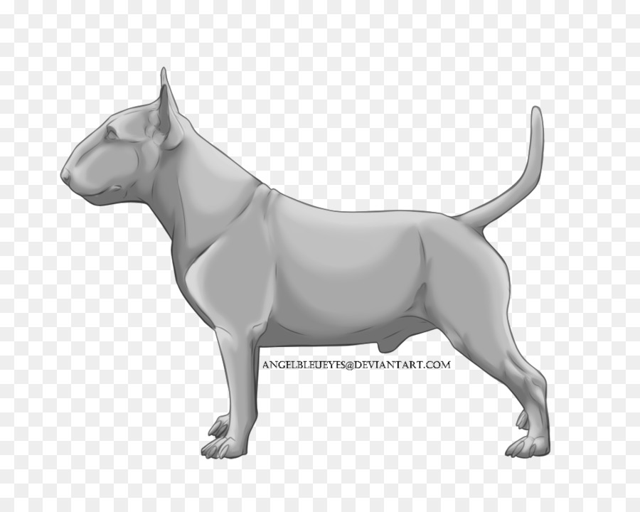 Toro Terrier，Criar PNG