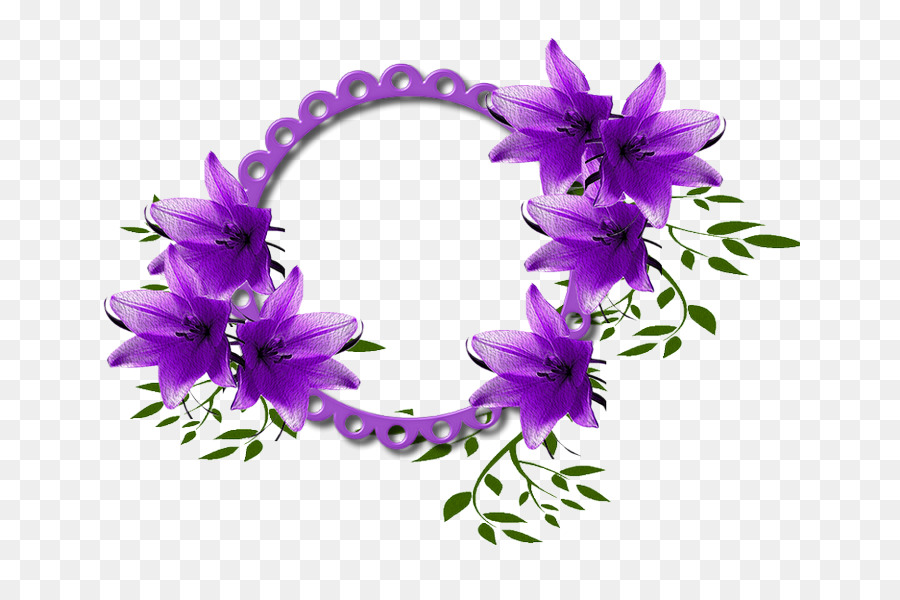 Morado，Lila PNG