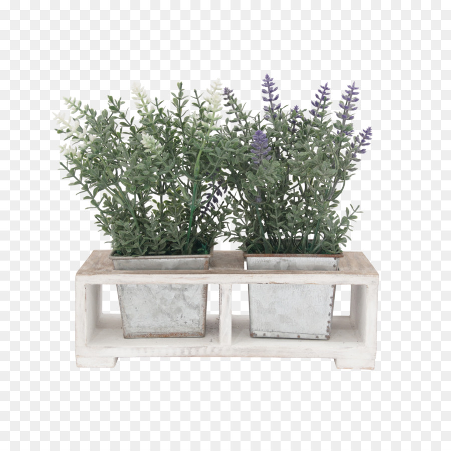 Plantas En Macetas，Lavanda PNG