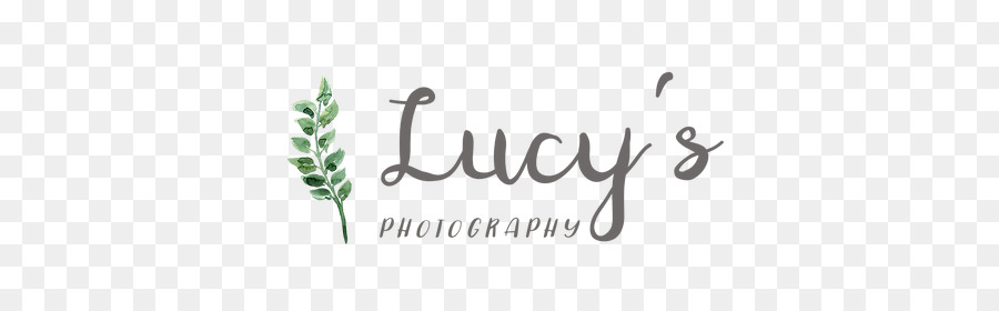 Lucy Fotografía，La Fotografía PNG