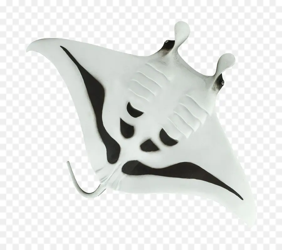 Mantarraya Blanca，Océano PNG