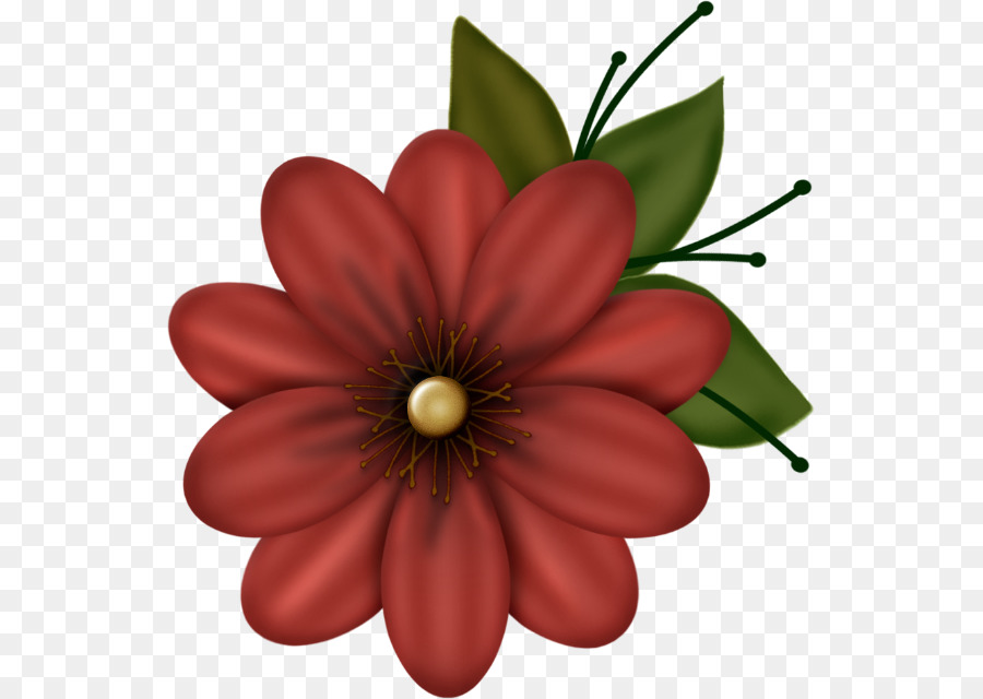 Flor Roja，Florecer PNG