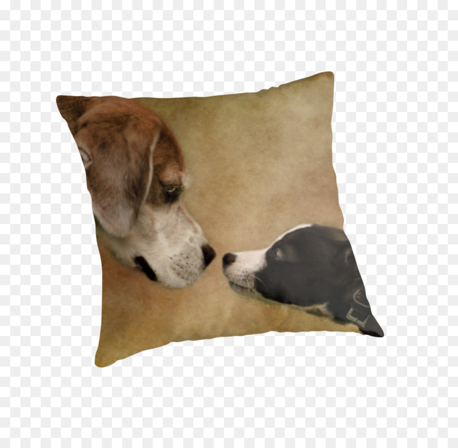 Raza De Perro，Whippet PNG