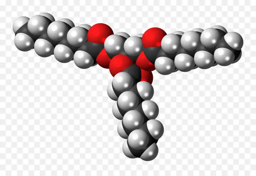Triglicéridos，Mediumchain De Triglicéridos PNG