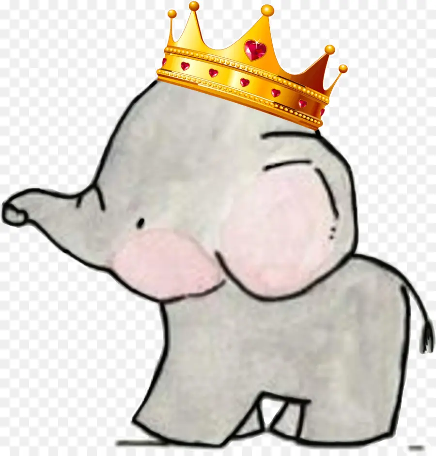 Elefante，Bebé PNG